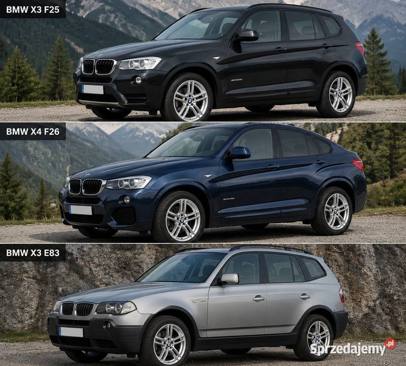 17 BMW X3 f25 e83 X4 f26 felgi koła komplet Lubasz