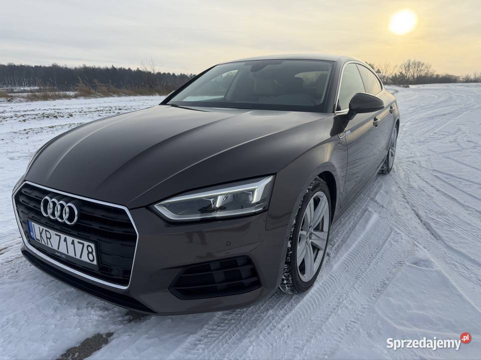 Audi A5 Sportback 20 TDI 2018 r bezwypadkowy elektryczne lusterka Kraśnik
