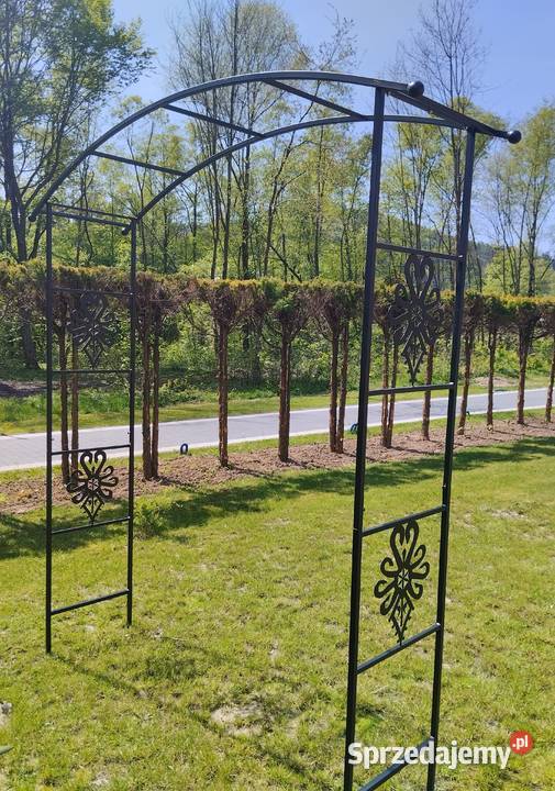 pergola ogrodowa metalowa motywparzenica Pergole i trejaże Trzebunia