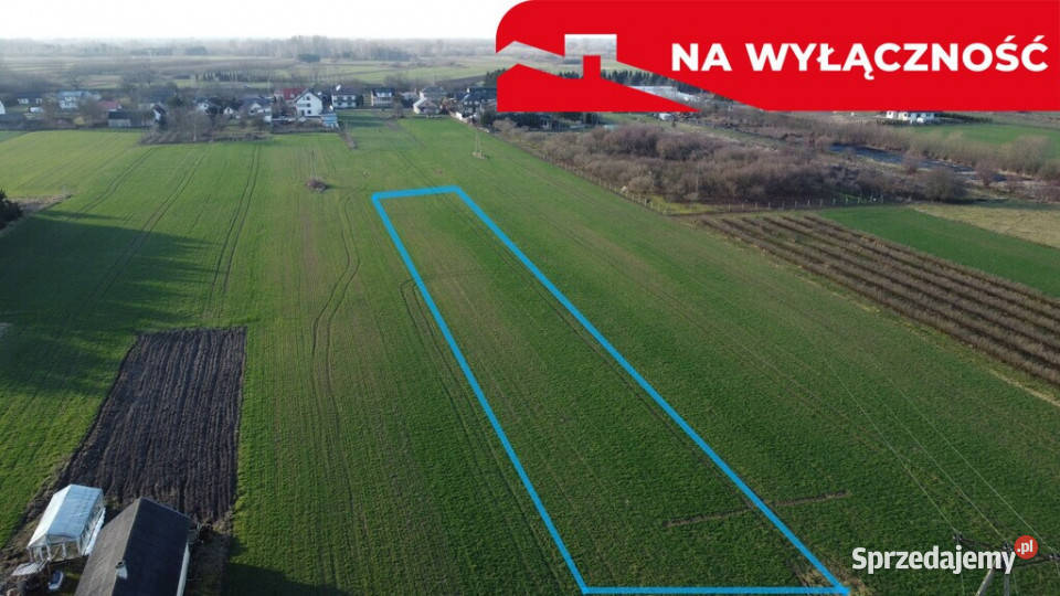 Działka rolnobudowlana 031 ha w Gołębiu kPuław Gołąb