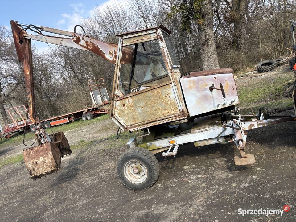 Cyklop Polski nowy typ Głogówek