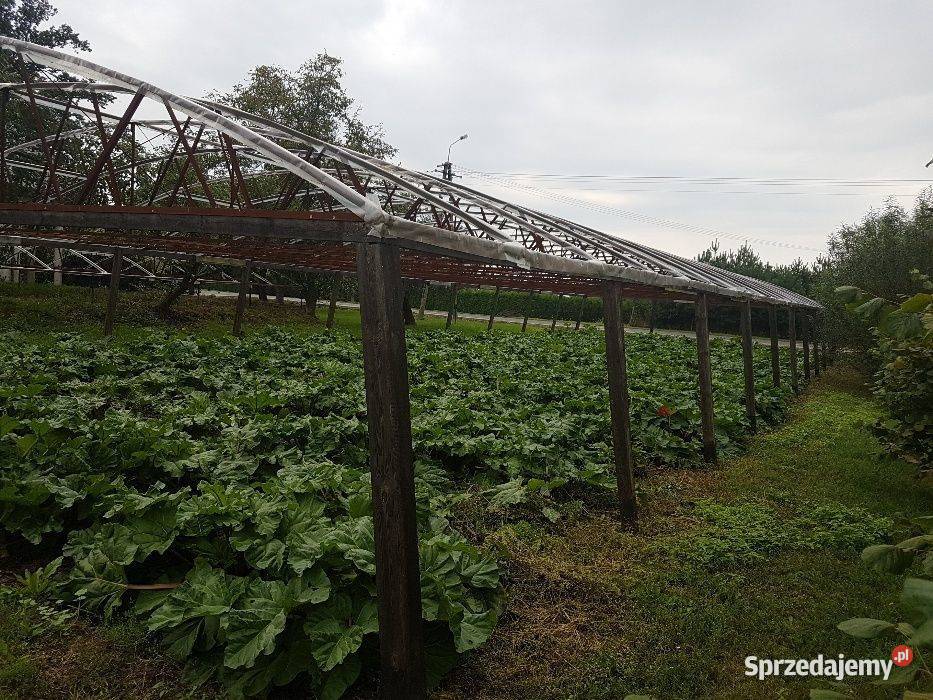 Tunel kujawsko-pomorskie Szatki