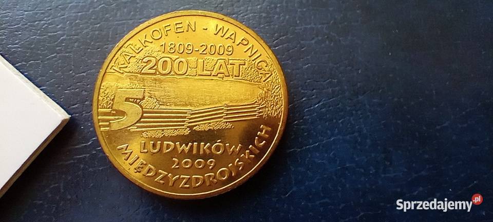Stare monety Medal 5 Ludwików 2009 2 329 Numizmatyka Lesko