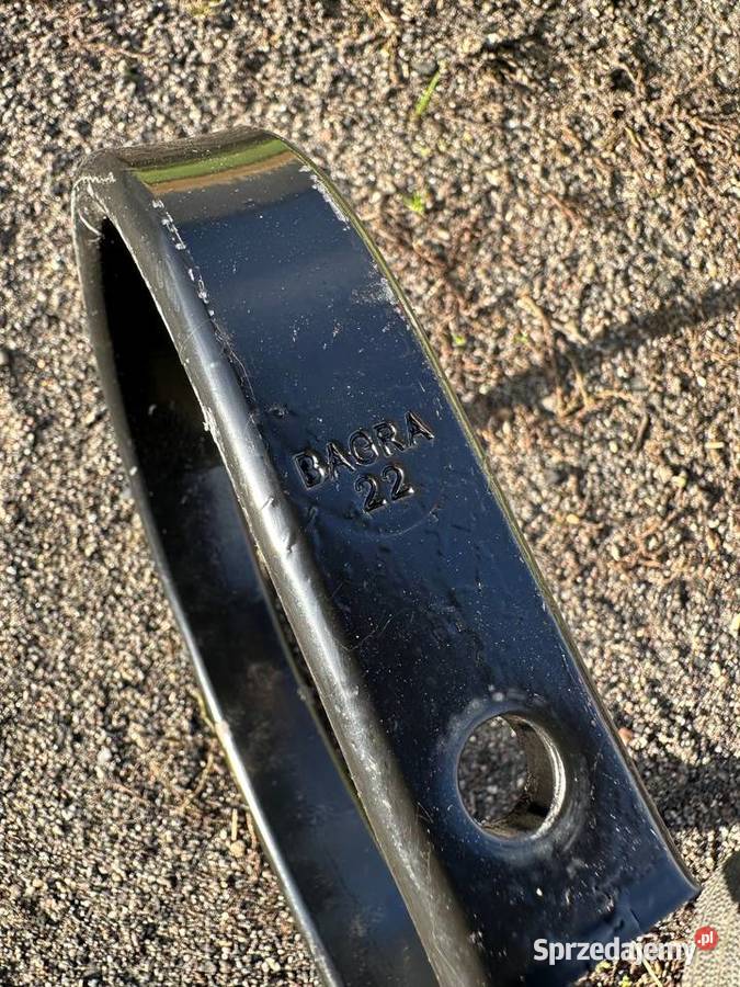 ZĄB SPULCHNIACZA SIEWNIKA Góra