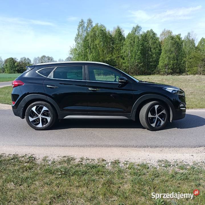 Hyundai Samochody osobowe Korzeń
