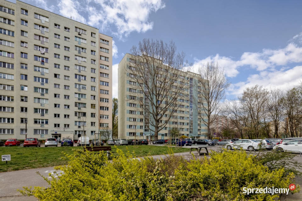 Gotowiec inwestycyjny ROI 8 bezpośrednio