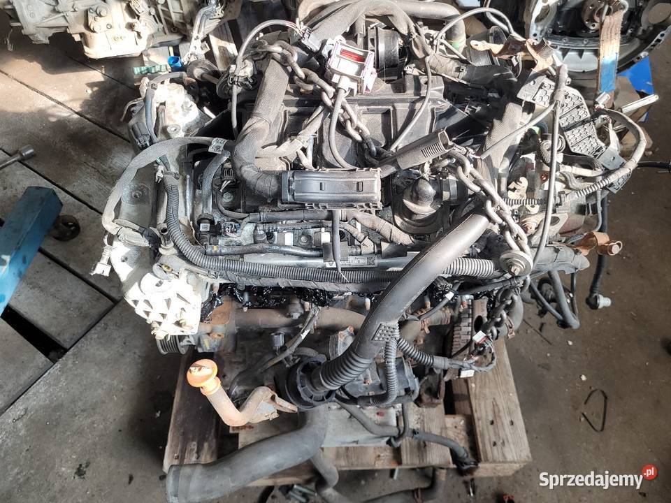Silnik 16 CDI dCi Mercedes Vito 447 om622951 Lubartów