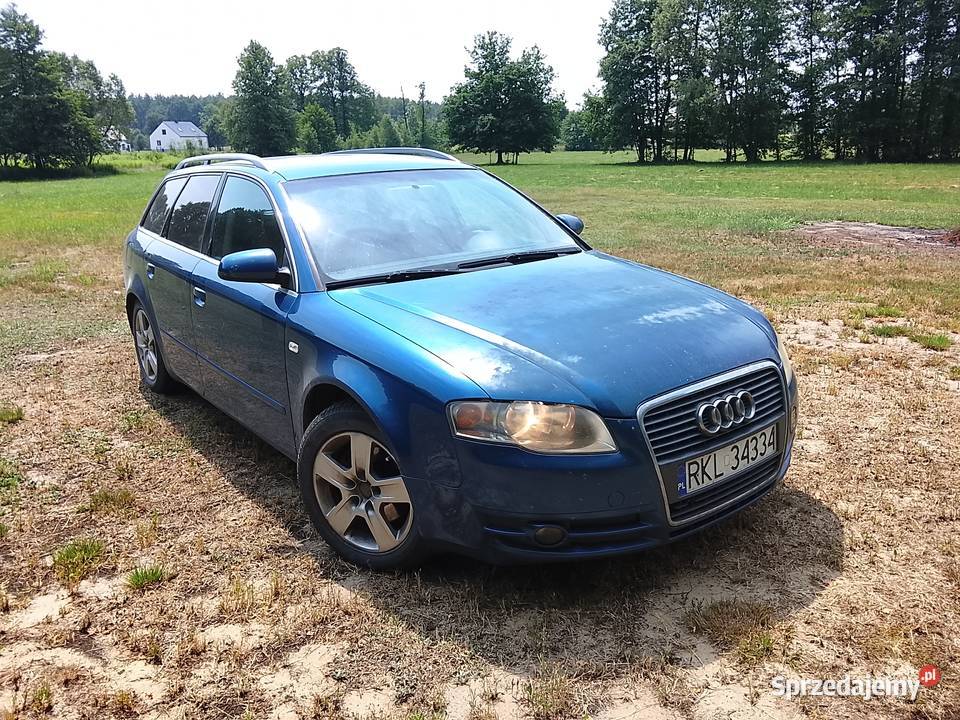 Audi A4b7 19 TDI 2005 diesel Kolbuszowa