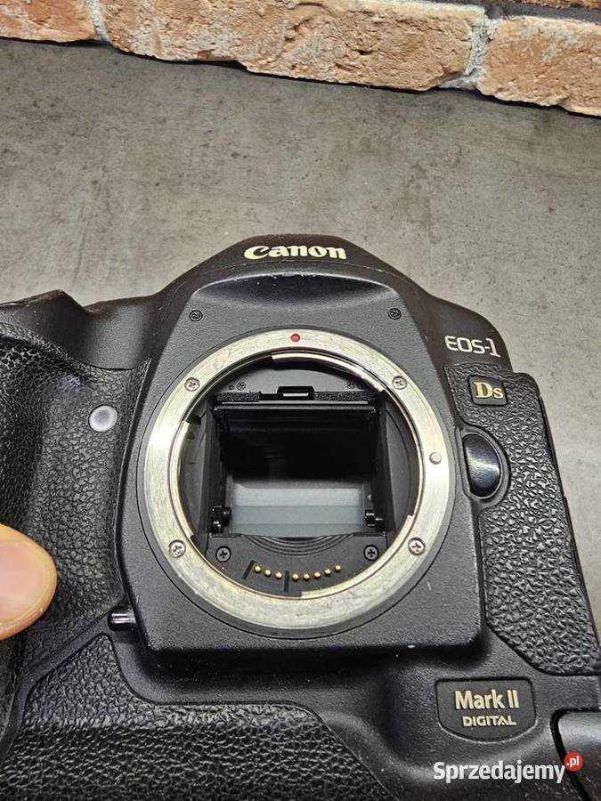 Canon EOS 1Ds Canon EF 2470 mazowieckie Warszawa
