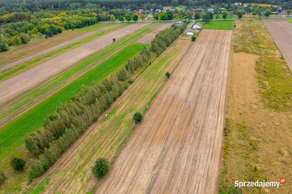 Spokojna działka 1400 m Skotniki Media WZ 130zł/m2