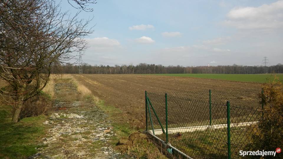 Działka 1000m Orzesze piękna i spokojna okolica 85zł/m2 Orzesze