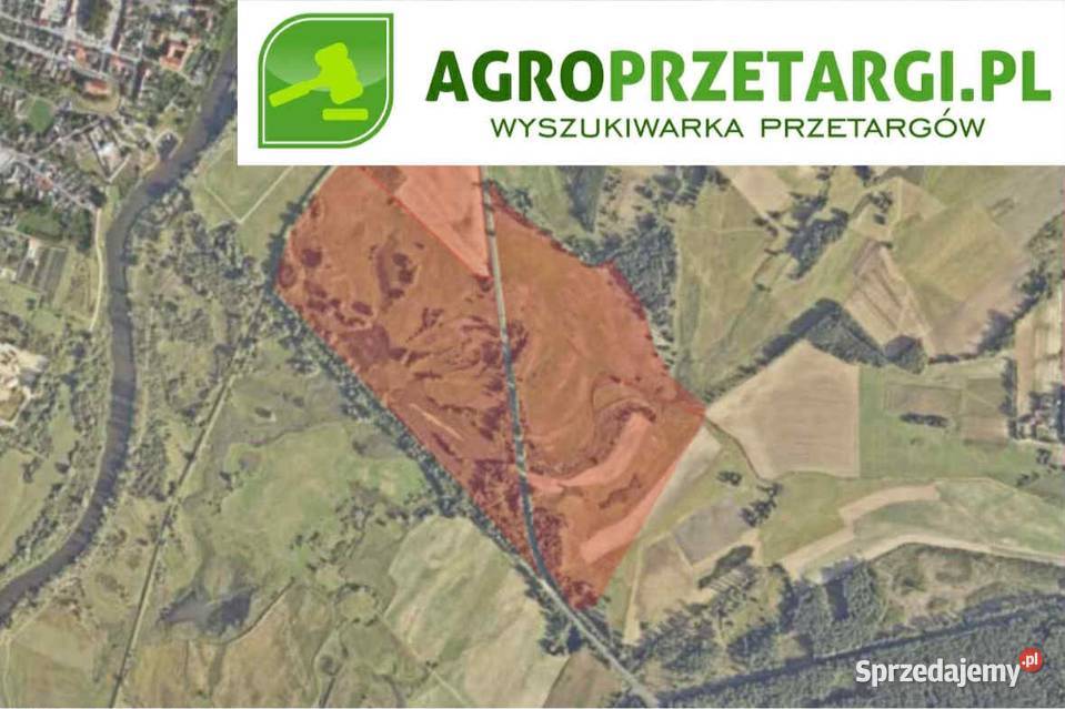 Dzierżawa 4492 ha gruntu rolnego Września