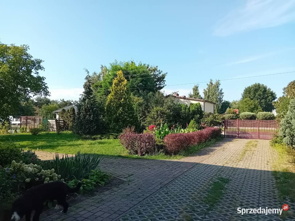 Dom jednorodzinny wolnostojący Żyrardów