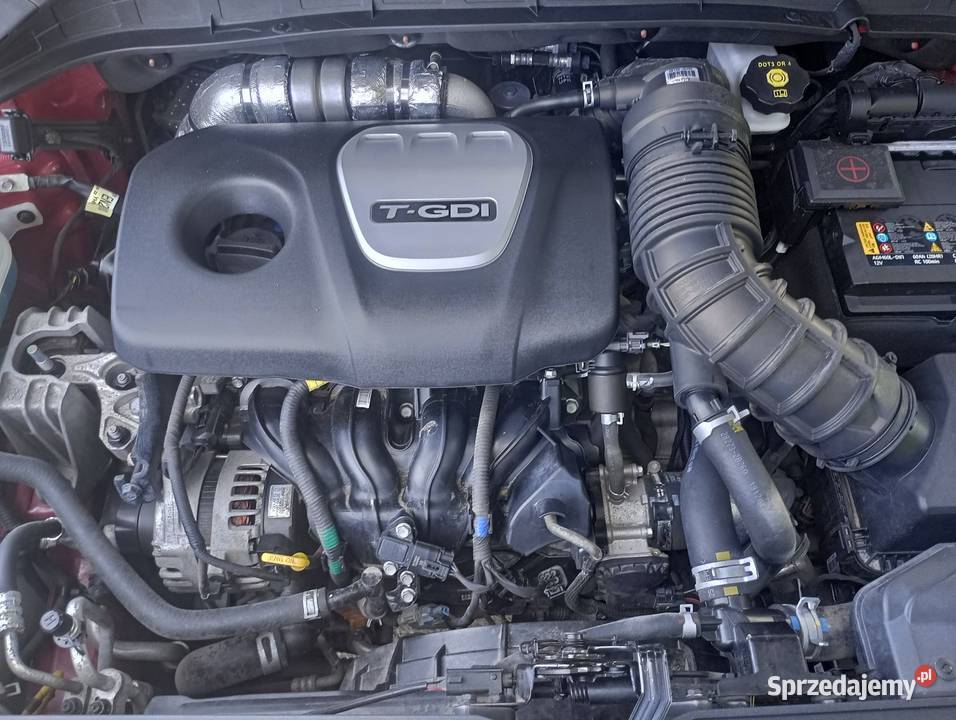 Hyundai Kona 16benzyna 2019r Pierwszy właściciel Kona Samochody osobowe podkarpackie Rzeszów