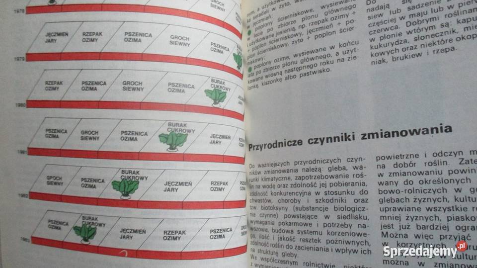 Nowoczesna uprawa roślin rosliny uprawa Łódź sprzedam