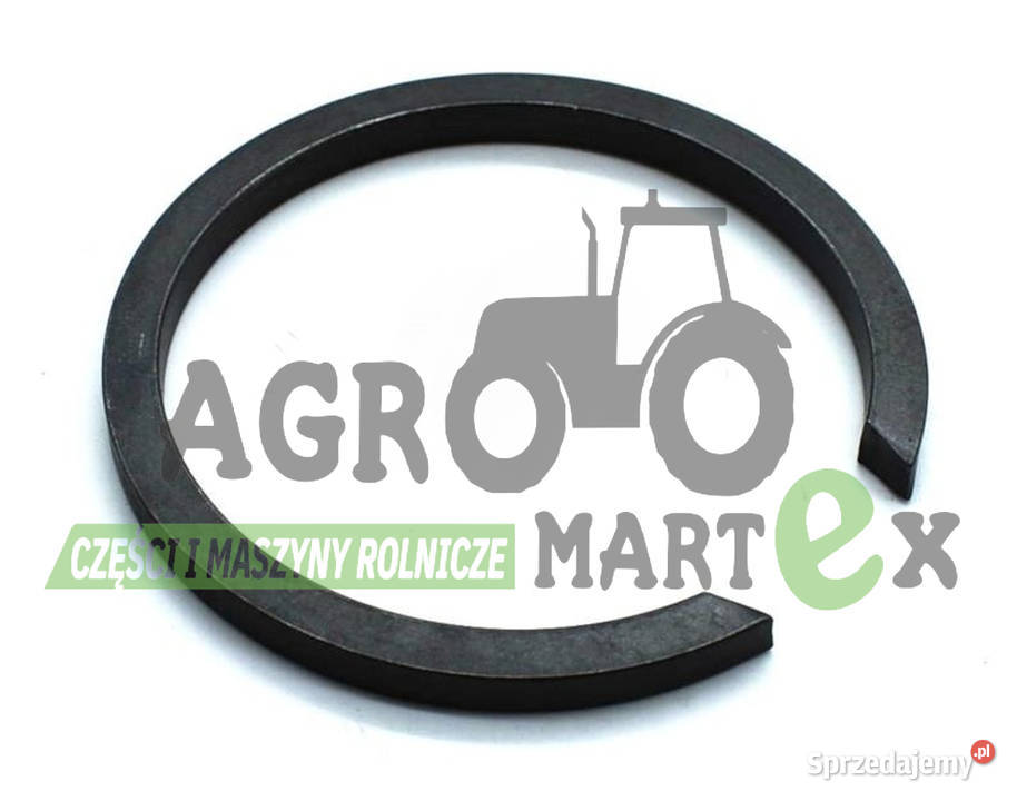 R53658 PIERŚCIEŃ JD Wichrów