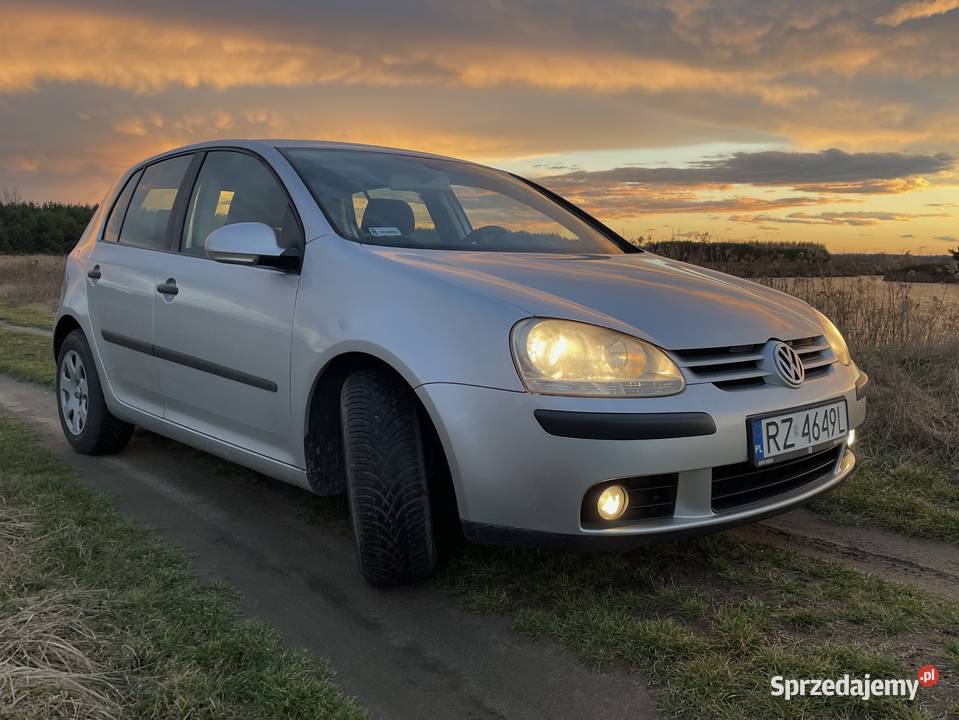 Volkswagen Golf V Comfortline 20 TDI immobilizer Przeworsk