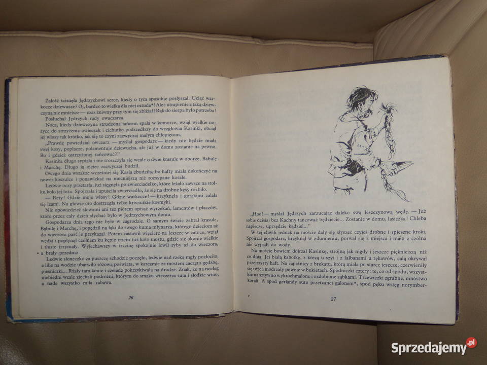 Sztolnia w Sowich Górach Kornelia Dobkiewiczowa