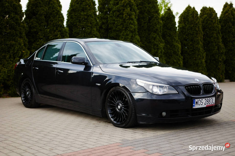 BMW 530 E60 20032010 Rzekuń