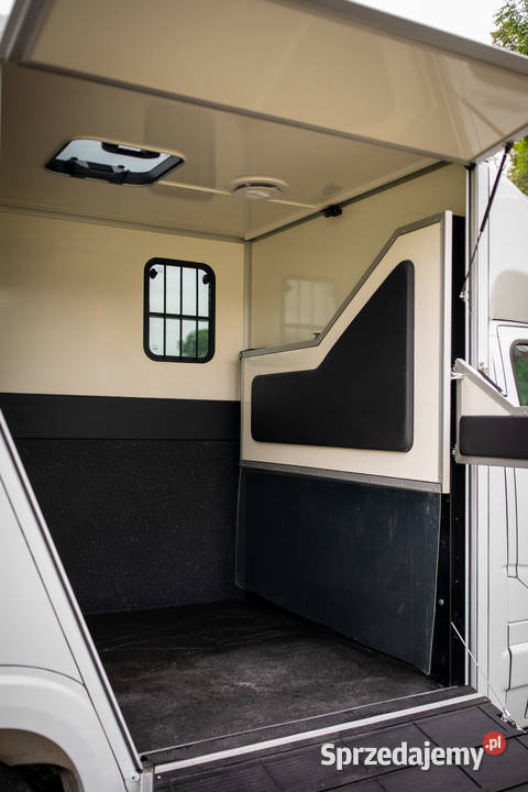 Nissan NV400 KONIOWÓZ Samochód do przewozu koni Pozostałe Rokietnica sprzedam