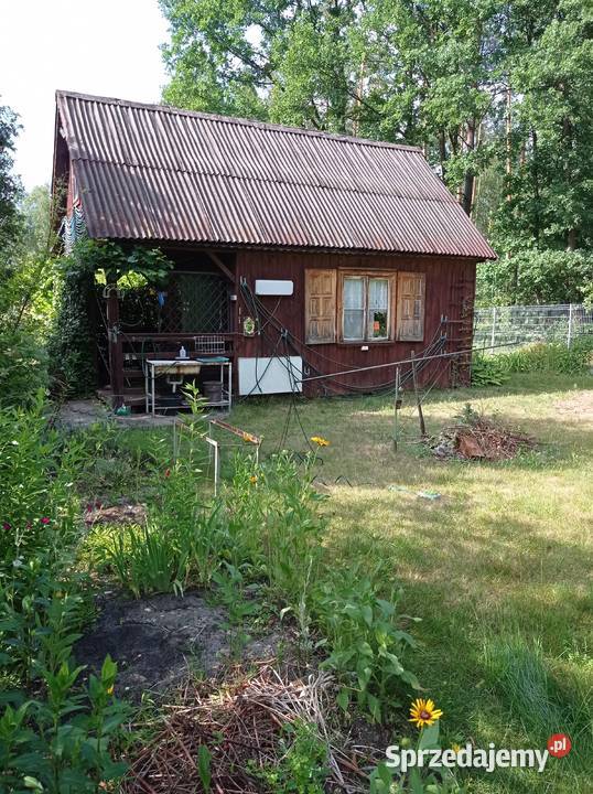 Sprzedam działkę ROD Chobot Warszawa