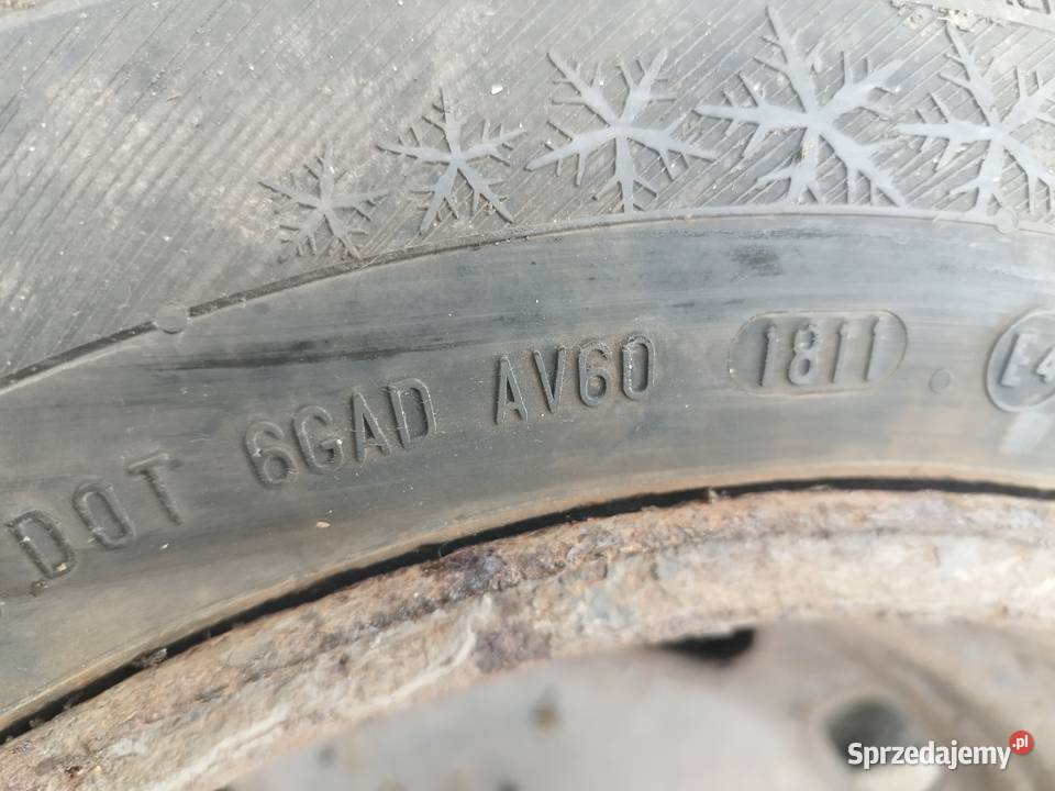 KOLA BARUM POLARIS 5X100 1856515 dolnośląskie Przejęsław