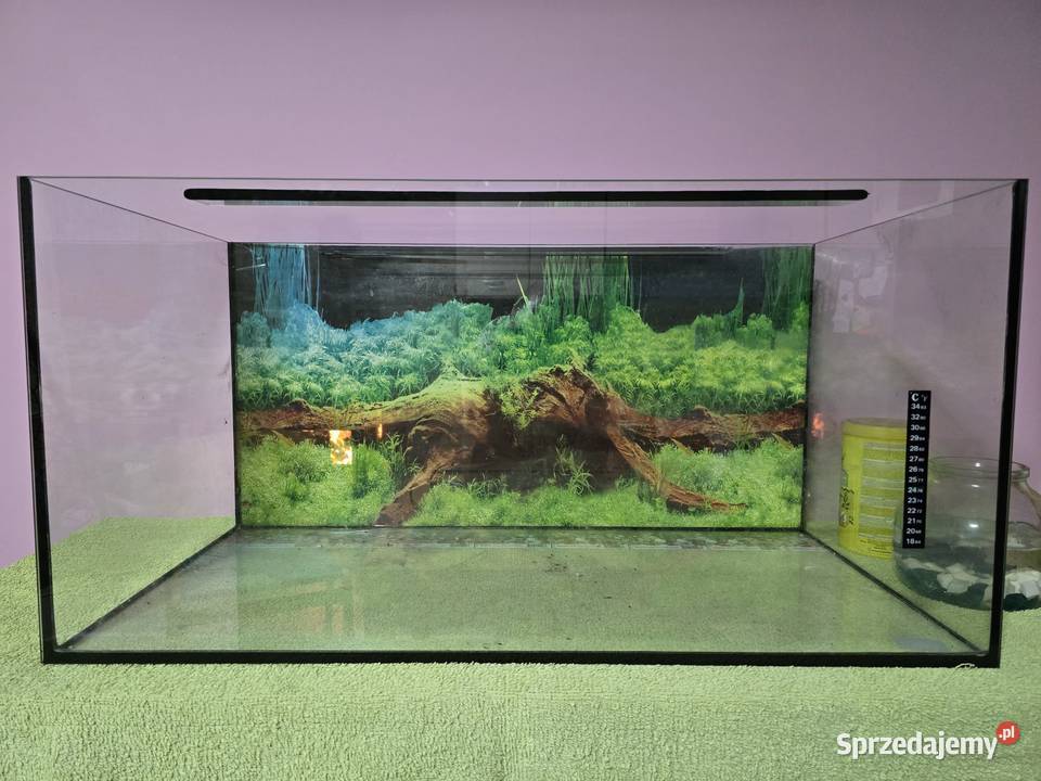 Akwarium ozdoby Ustroń