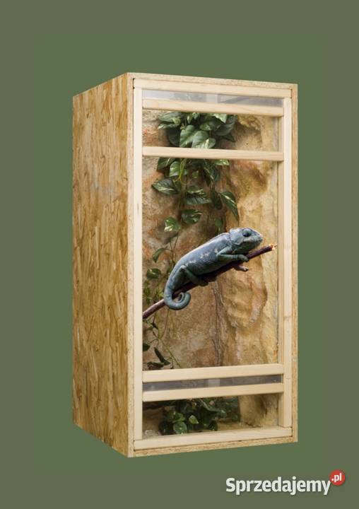 Terrarium z płyty OSB pionowe 60x60x120 wielkopolskie Pięczkowo