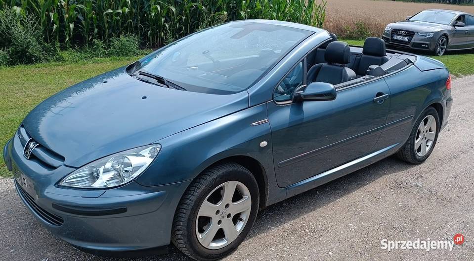 Peugeot 307 CC kabriolet 20 benzyna Rok produkcji 2005 Dąbrowa Górnicza sprzedam