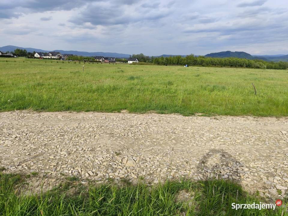 Widokowa działka Radziechowy