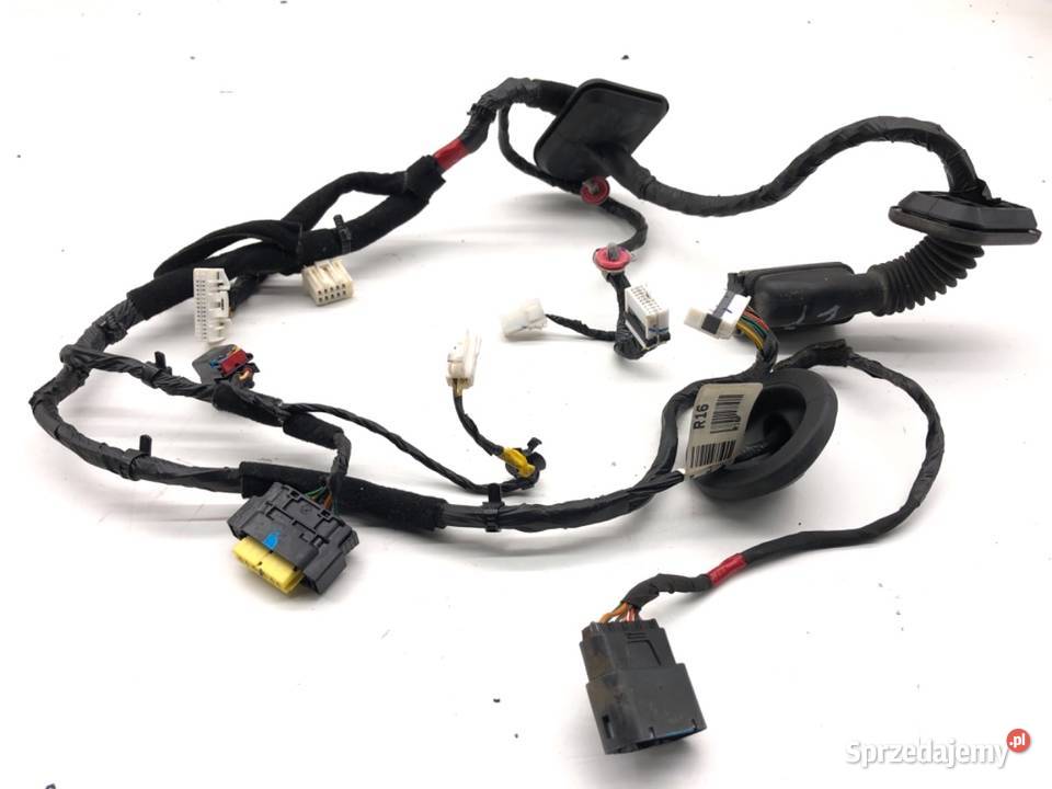 WIĄZKA DRZWI PRZÓD LEWY HYUNDAI SANTA FE III podkarpackie