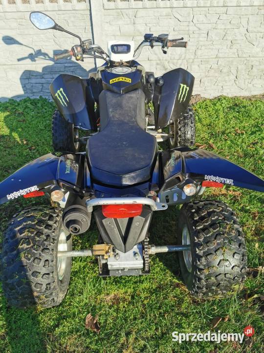 Quad Acess Lucky Star 300 z homologacja l7e quad - ATV wielkopolskie Rawicz