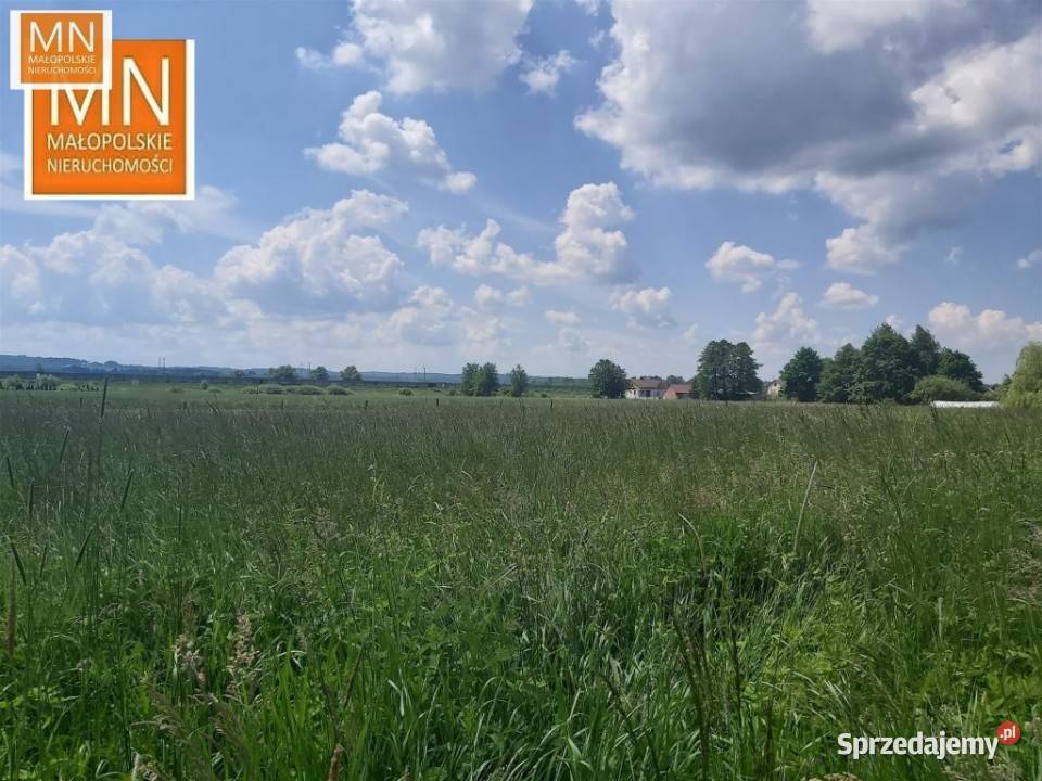 sprzedaży domu wolnostojącego 120m2 Jodłówka 1300m2