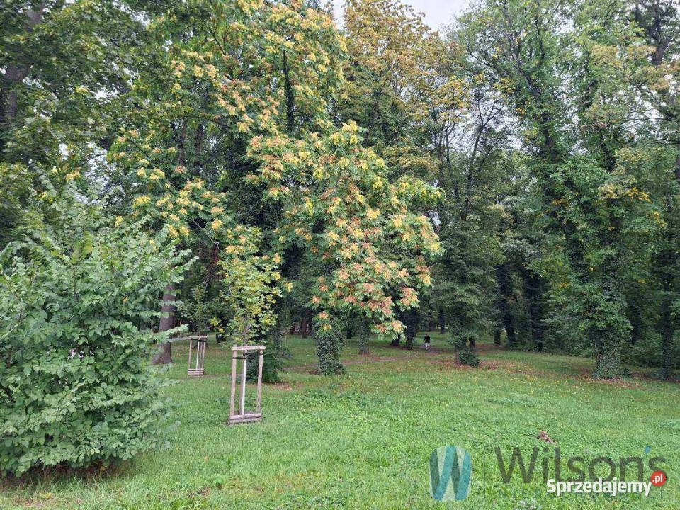 sprzedaży mieszkania 682m2 3 pokoje Wrocław sprzedam