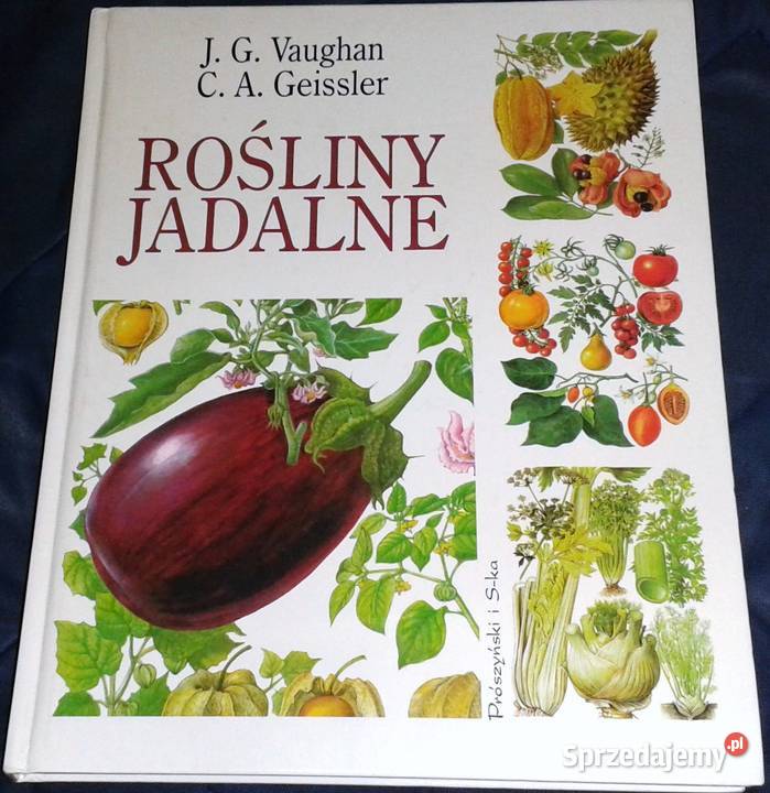 Rośliny jadalne John Vaughan Chełm