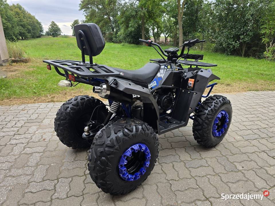 Quad Magnum 250cc Mały Przebieg 2022 Duża rama z elektryczny starter Kruszwica
