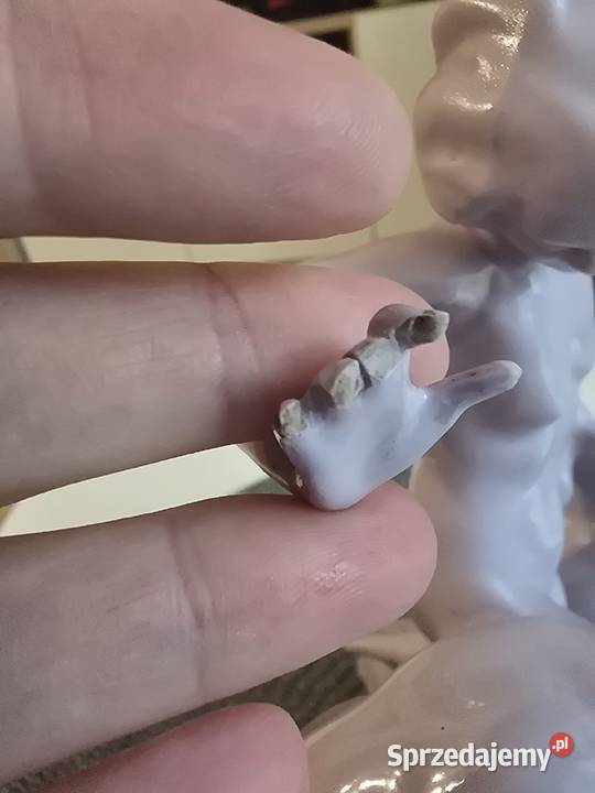 Figurka porcelanowa kobieta z niedźwiedziami Poznań