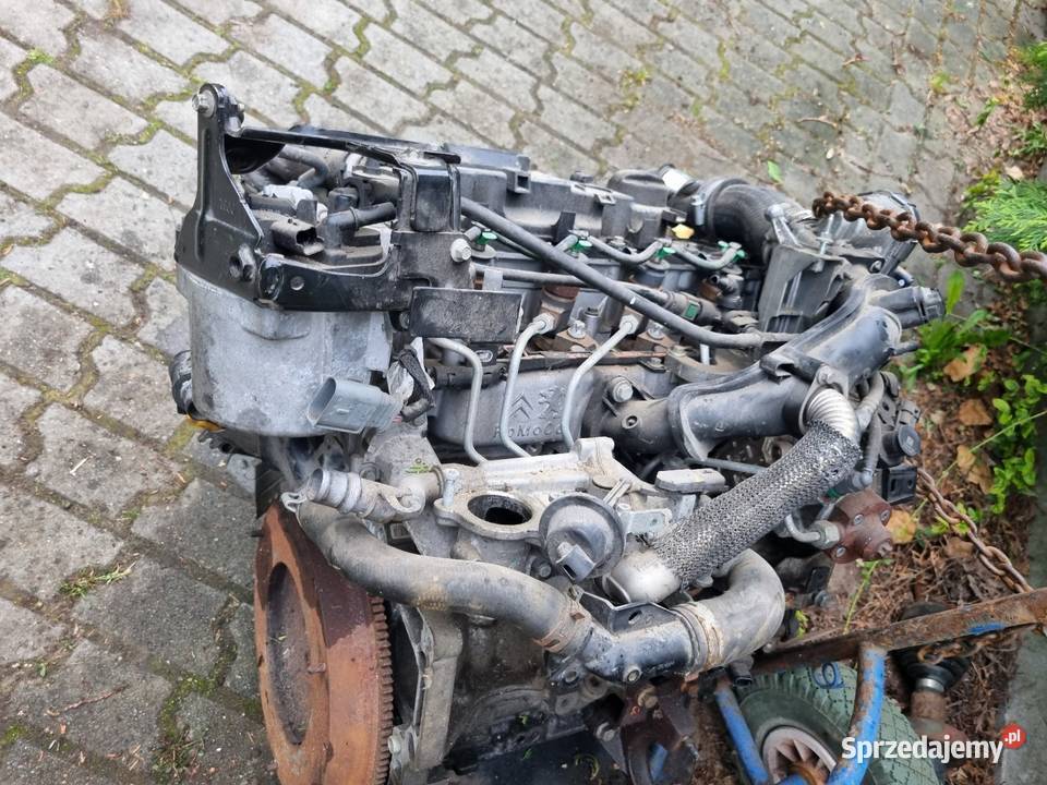Silnik Ford Fiesta MK7 14 HDI Wtryski Turbo Skawina
