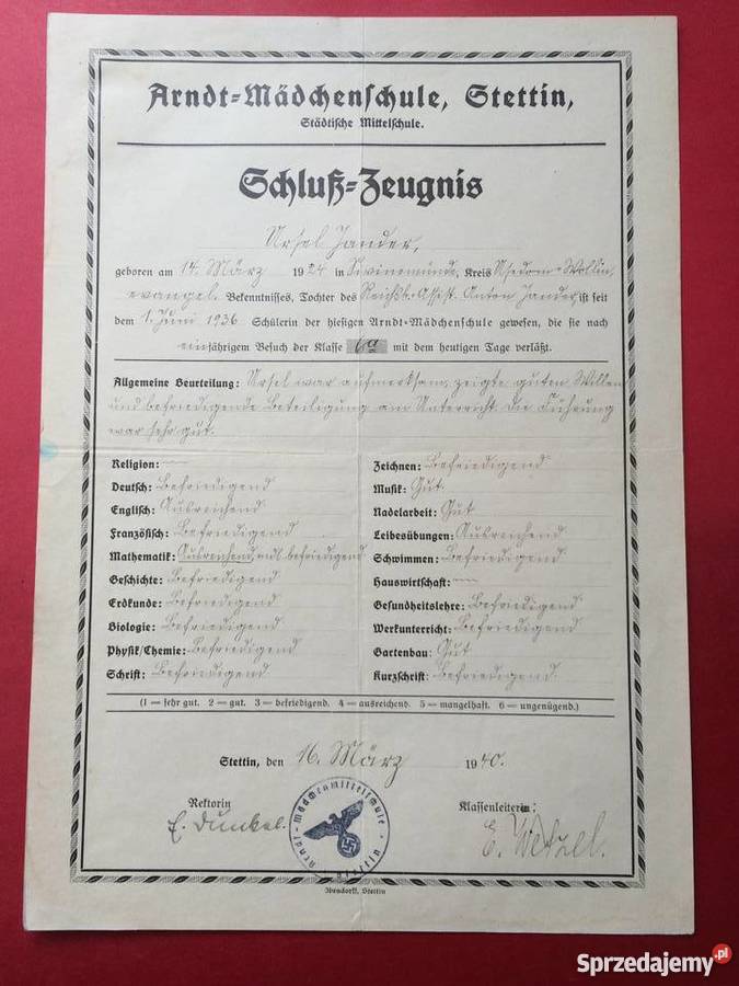 42 Dyplom kupiecki Szczecin