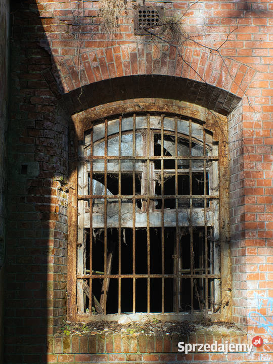 Panasonic G5 obiektywy manualne zestaw Aparaty małopolskie