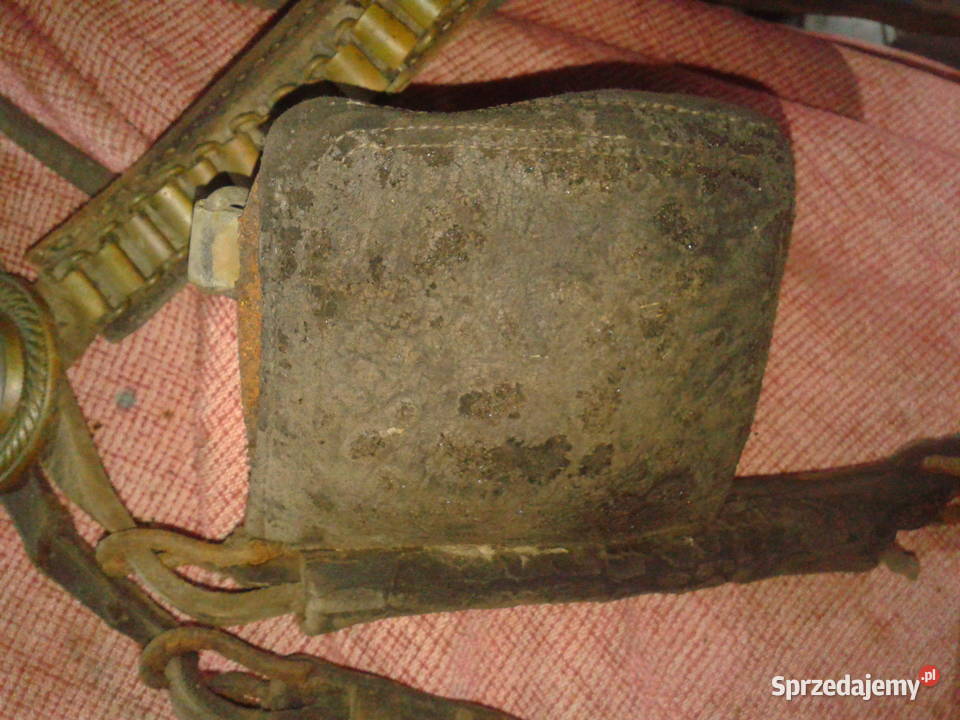 stare oglowie konskie perszerona