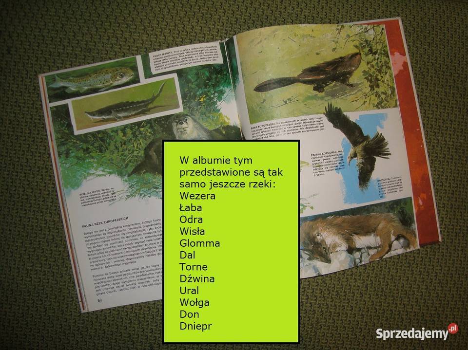 Album Wielkie Rzeki Europy tom I katalog z marynistyka, żeglarstwo Poradniki, albumy i reportaże śląskie Tychy