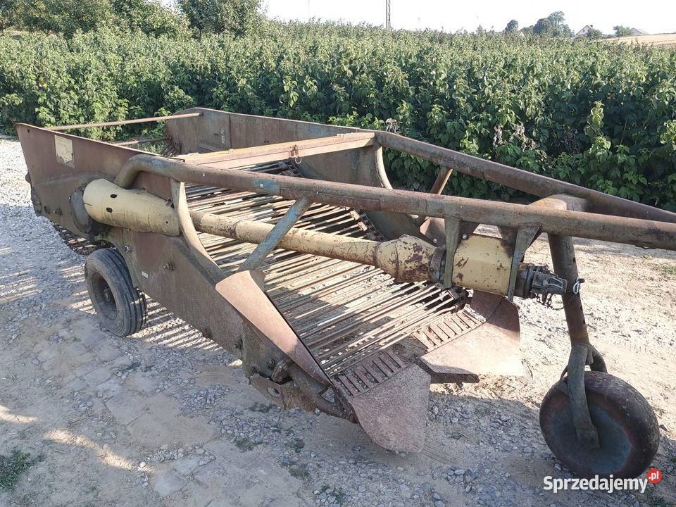 Kopaczka elewatorowa dwurzędowa do ziemniaków lubelskie Izbica