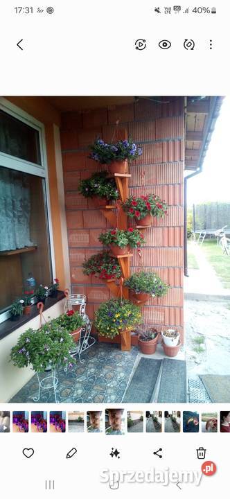 Kwietnik Zduńska Wola