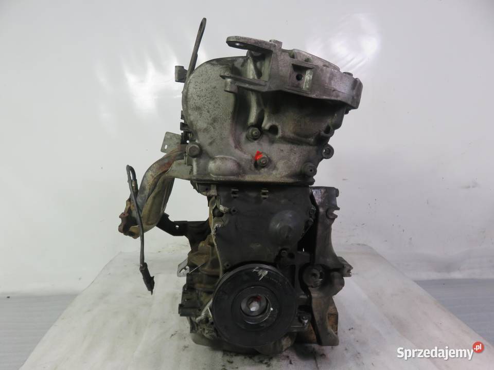 SILNIK RENAULT GRAND SCENIC II 20 135 F4R771 osobowe