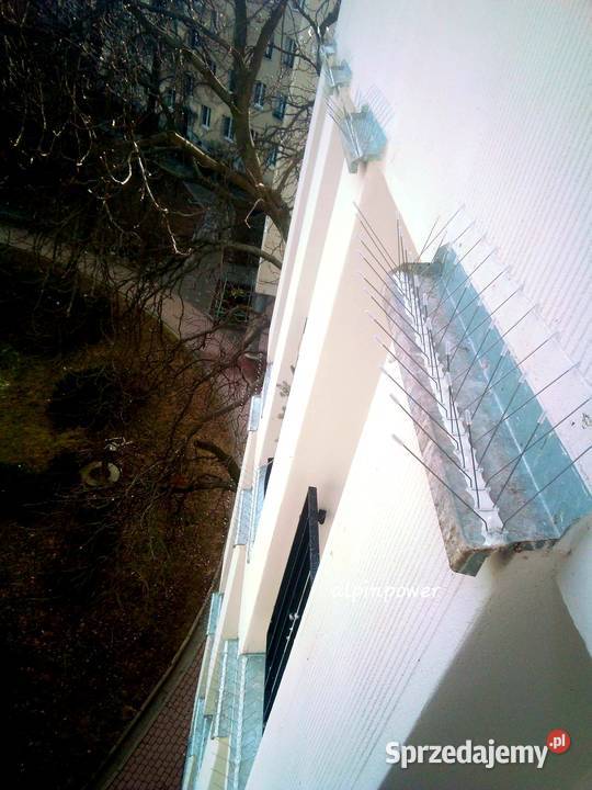 Montaż kolców na gołębie Warszawa Montaż Siatki