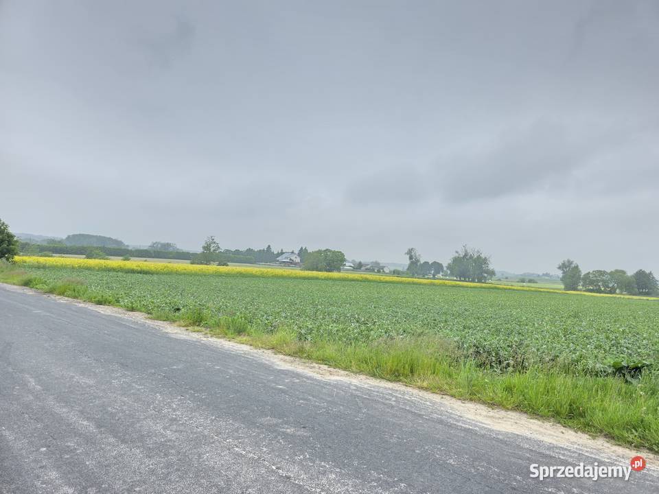 Działka rolna 8313m2 III klasa ziemi mazowieckie sprzedam