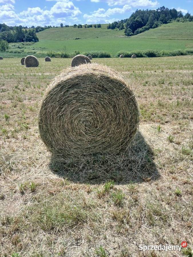Sprzedam siano zamiennie Łęgajny