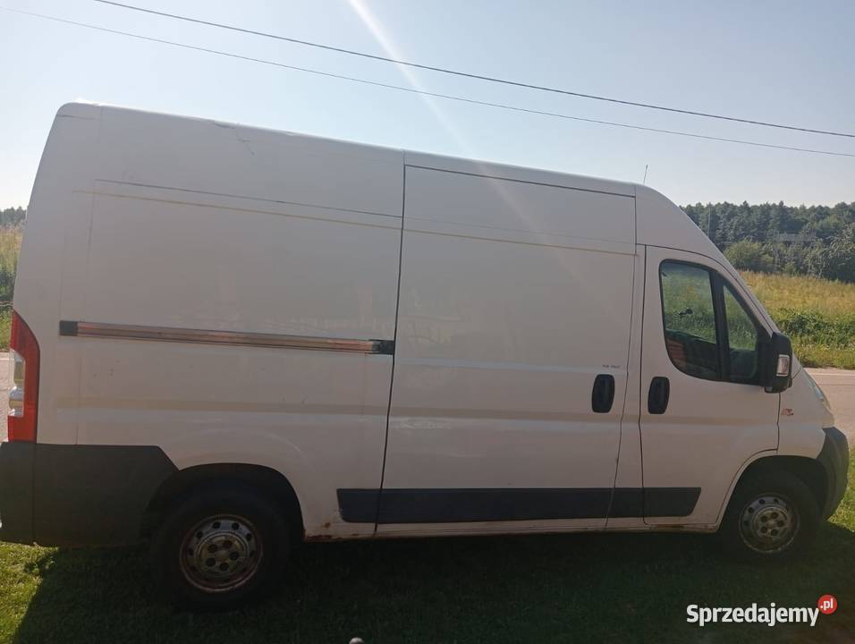 Fiat Ducato biały warmińsko-mazurskie Rybno