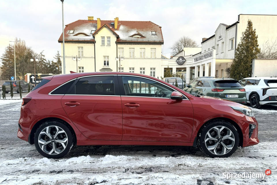 Kia Nowy Ceed 14 TGDI 140 Business Line Kia Toruń sprzedam